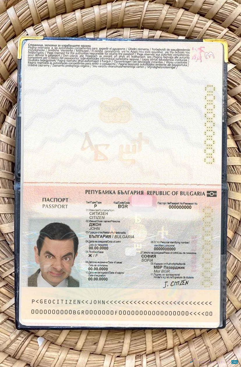 Download Bulgaria passport photo look Photoshop template